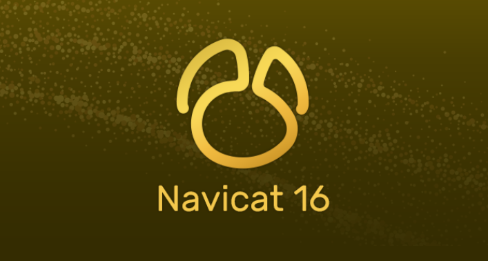 Navicat Premium v16 中文破解版 强大的数据库管理工具 - Mac版本